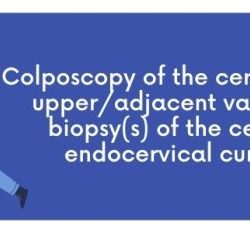 Cpt code for biopsy of external ear