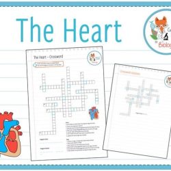 The heart crossword puzzle answers