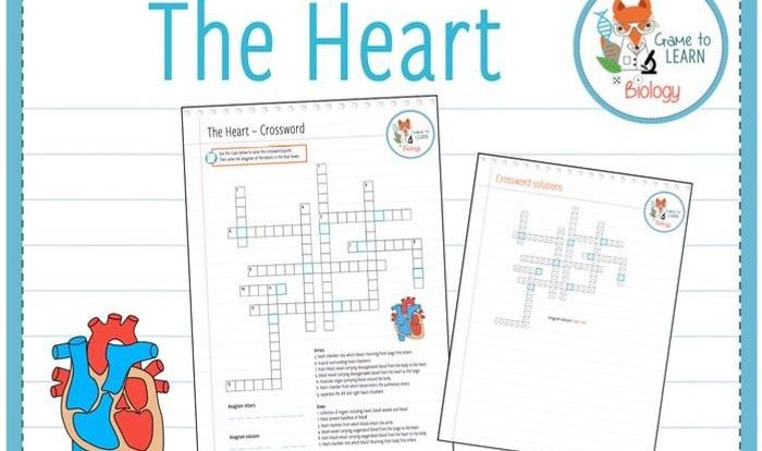 The heart crossword puzzle answers